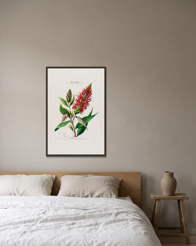 Flore d’Amérique, dessinée d’après nature sur les lieux Pl.054 av Etienne Denisse inramad på en vägg
