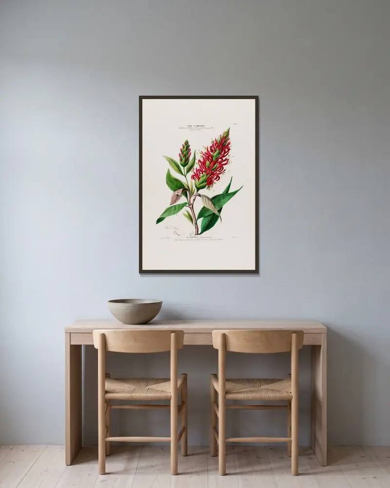 Flore d’Amérique, dessinée d’après nature sur les lieux Pl.054 av Etienne Denisse inramad på en vägg