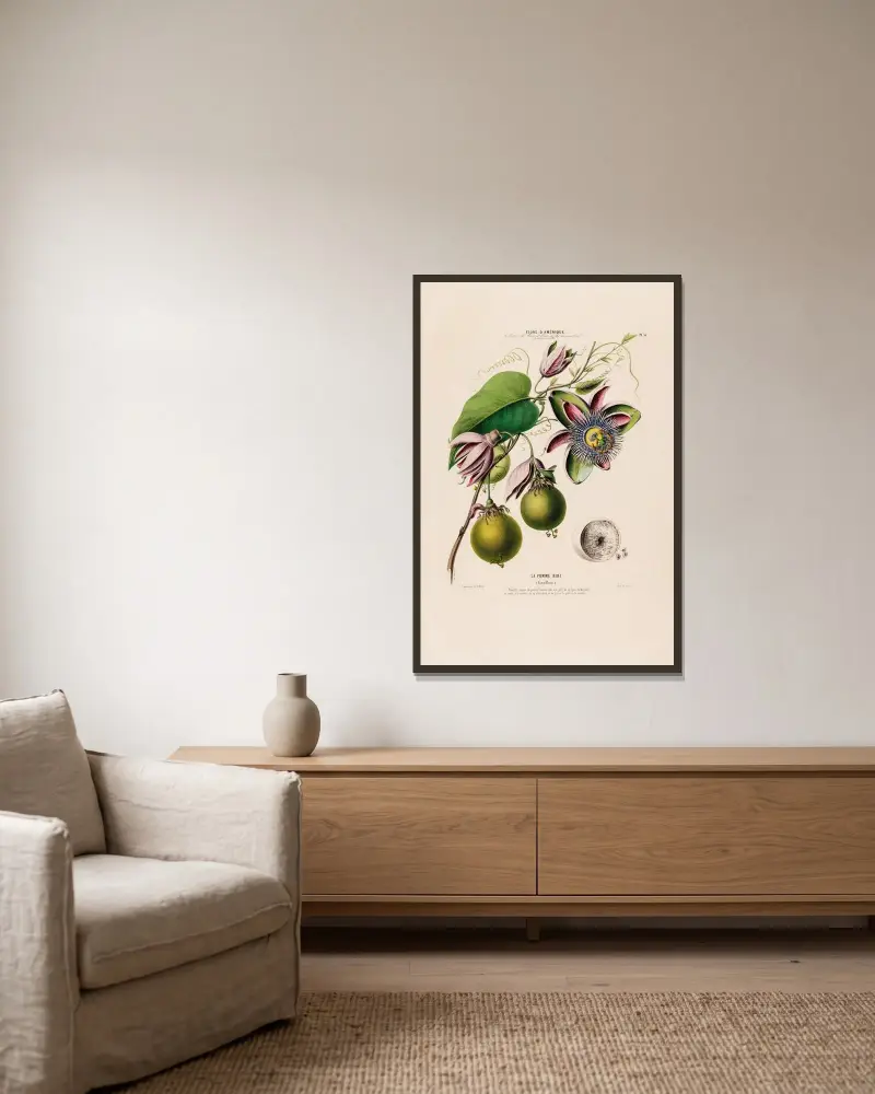 Flore d’Amérique, dessinée d’après nature sur les lieux Pl.056 av Etienne Denisse inramad på en vägg