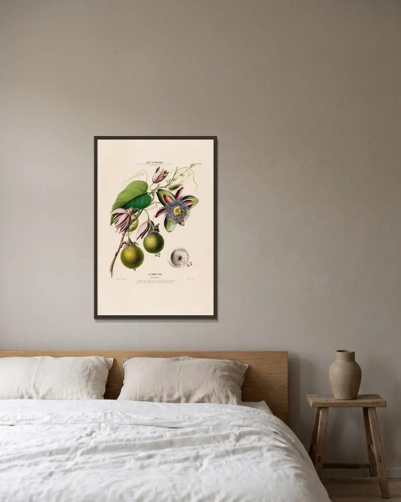 Flore d’Amérique, dessinée d’après nature sur les lieux Pl.056 av Etienne Denisse inramad på en vägg