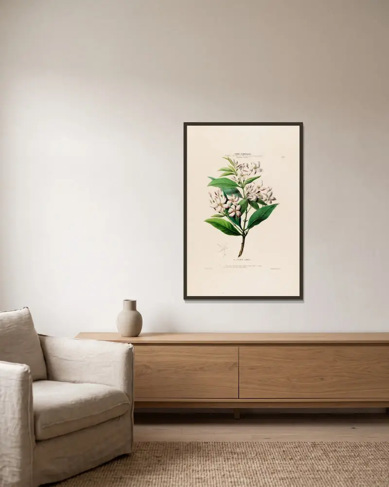 Flore d’Amérique, dessinée d’après nature sur les lieux Pl.057 av Etienne Denisse inramad på en vägg