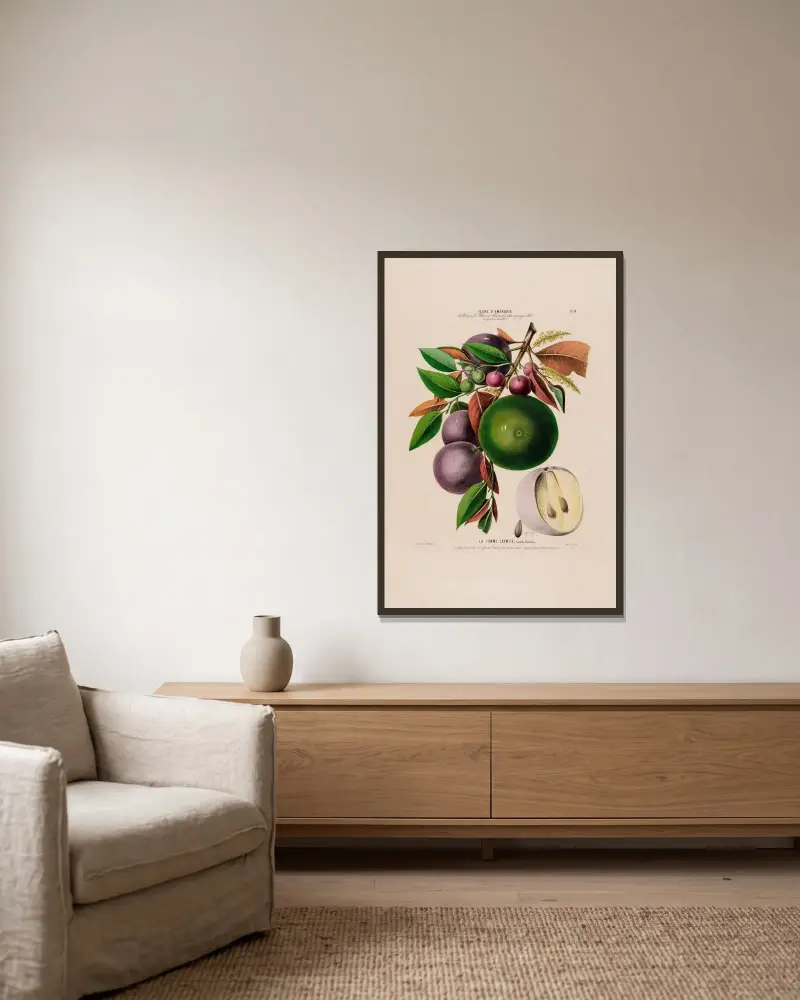 Flore d’Amérique, dessinée d’après nature sur les lieux Pl.059 av Etienne Denisse inramad på en vägg
