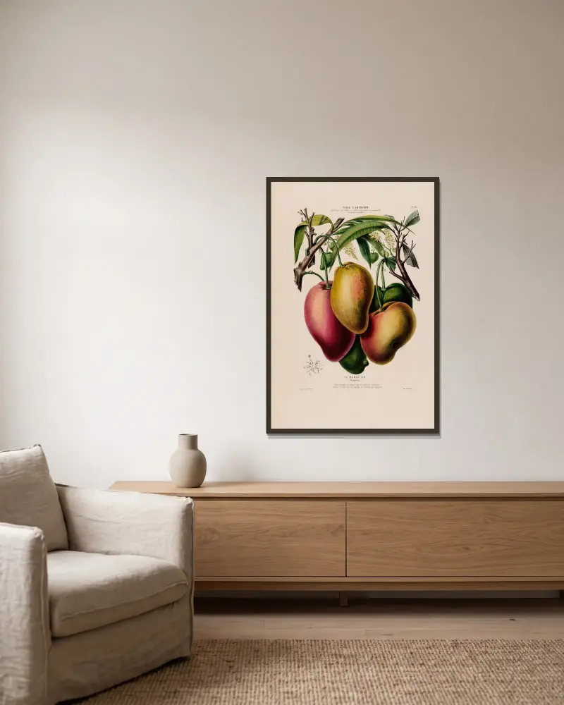 Flore d’Amérique, dessinée d’après nature sur les lieux Pl.061 av Etienne Denisse inramad på en vägg