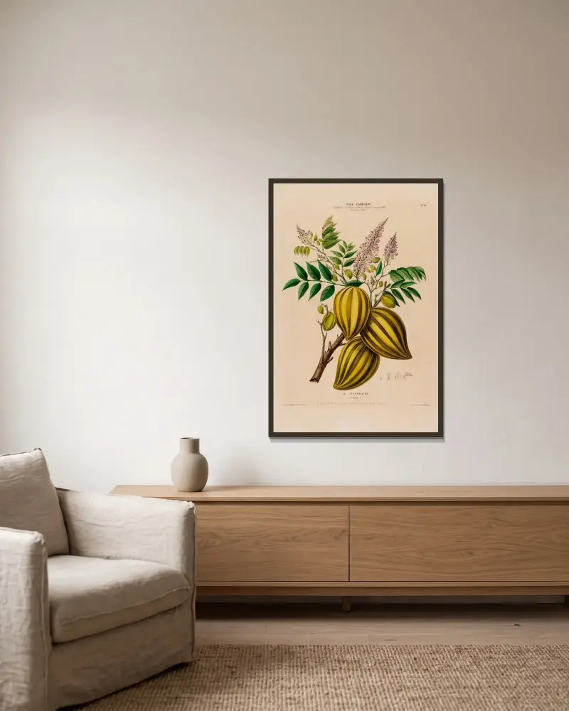 Flore d’Amérique, dessinée d’après nature sur les lieux Pl.066 av Etienne Denisse inramad på en vägg