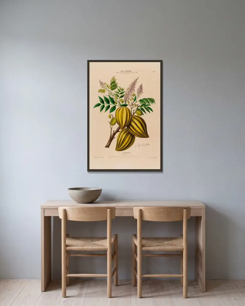 Flore d’Amérique, dessinée d’après nature sur les lieux Pl.066 av Etienne Denisse inramad på en vägg