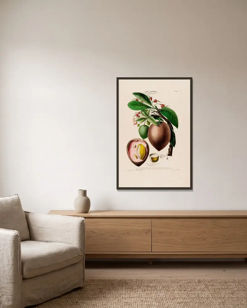 Flore d’Amérique, dessinée d’après nature sur les lieux Pl.068 von Etienne Denisse gerahmt an einer Wand