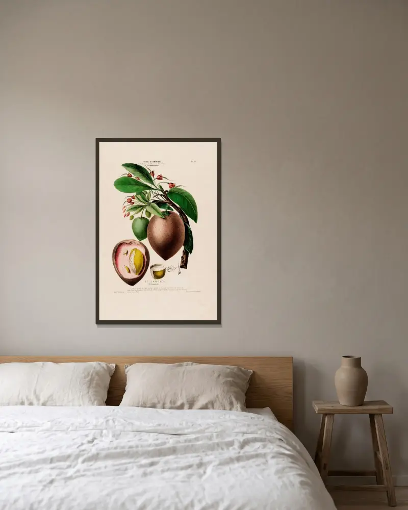 Flore d’Amérique, dessinée d’après nature sur les lieux Pl.068 von Etienne Denisse gerahmt an einer Wand