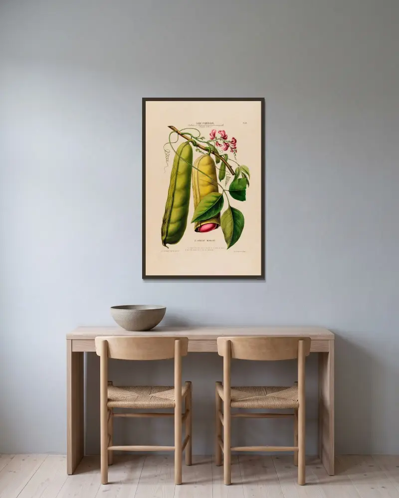 Flore d’Amérique, dessinée d’après nature sur les lieux Pl.069 av Etienne Denisse inramad på en vägg