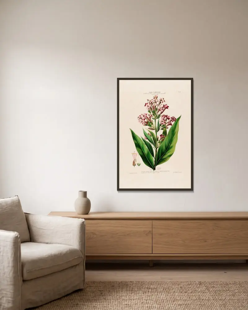 Flore d’Amérique, tecknad efter naturen på plats Pl.070 av Etienne Denisse inramad på en vägg