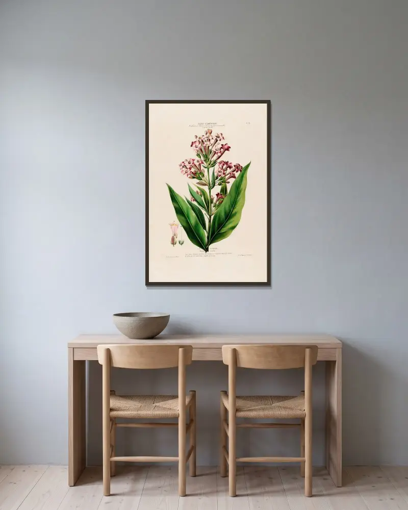 Flore d’Amérique, tecknad efter naturen på plats Pl.070 av Etienne Denisse inramad på en vägg