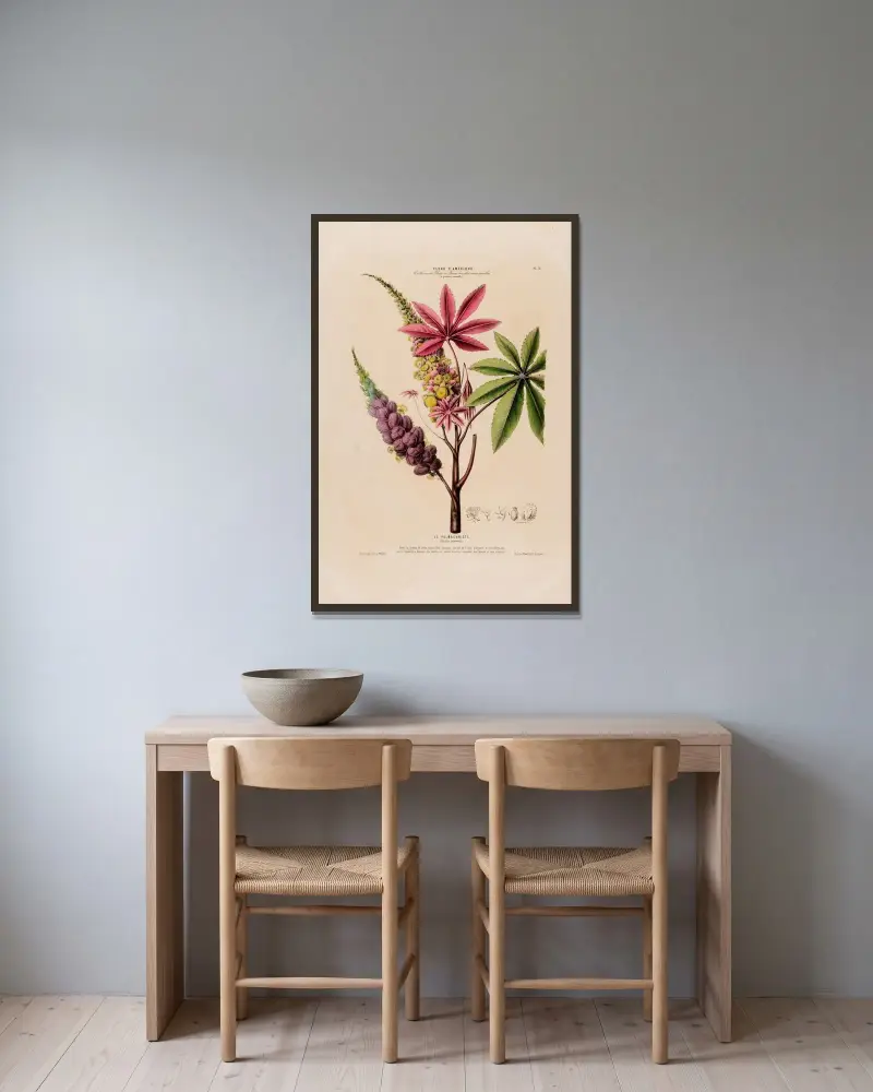 Flore d’Amérique, dessinée d’après nature sur les lieux Pl.072 av Etienne Denisse inramad på en vägg