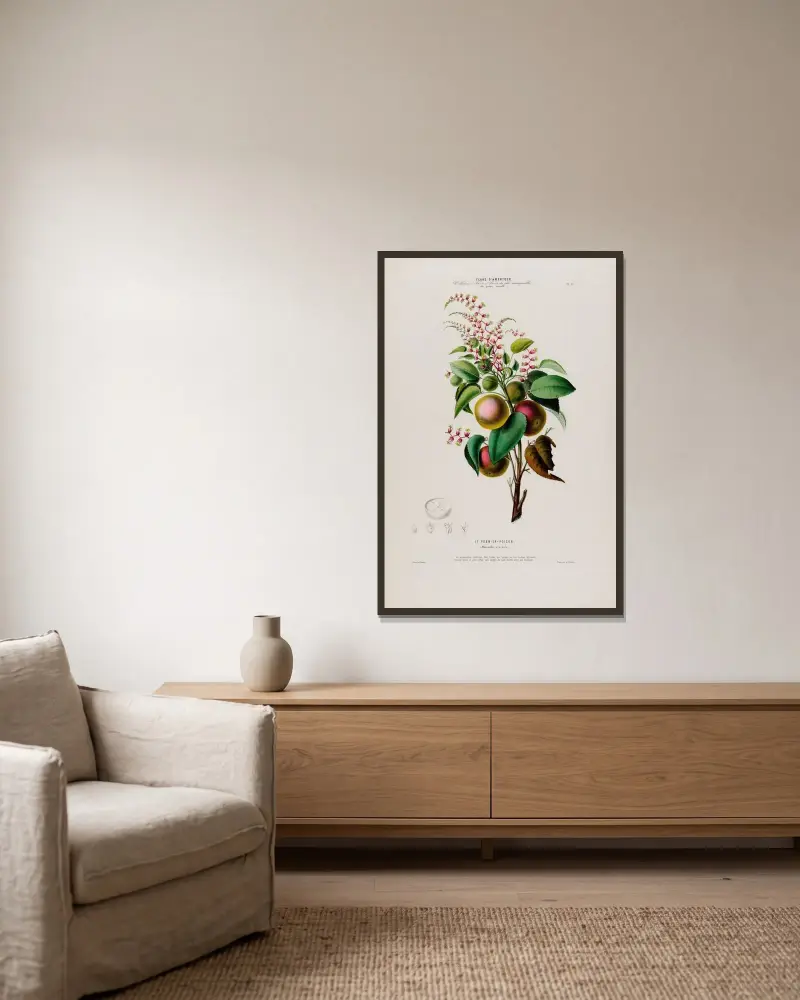 Flore d’Amérique, dessinée d’après nature sur les lieux Pl.073 av Etienne Denisse inramad på en vägg