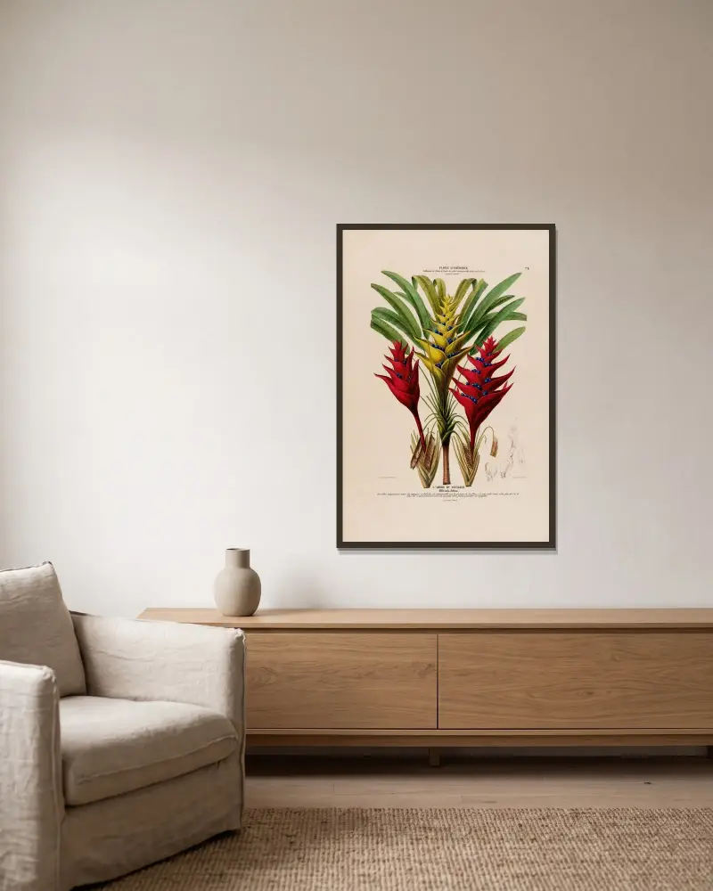Flore d’Amérique, dessinée d’après nature sur les lieux Pl.075 av Etienne Denisse inramad på en vägg