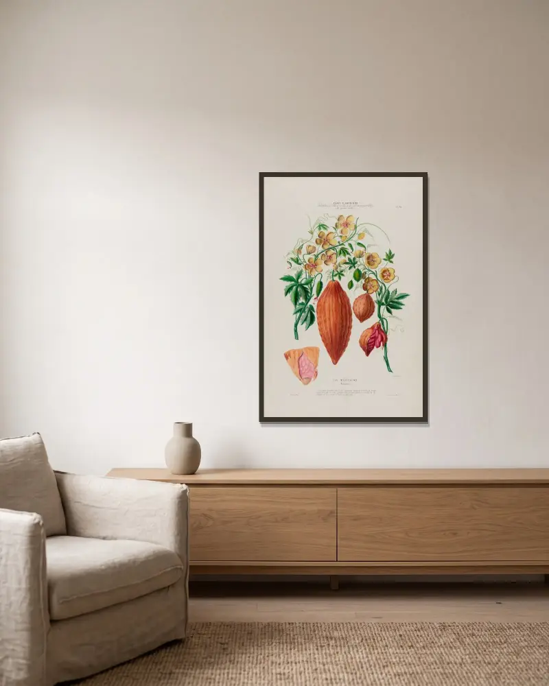 Flore d’Amérique, dessinée d’après nature sur les lieux Pl.076 av Etienne Denisse inramad på en vägg