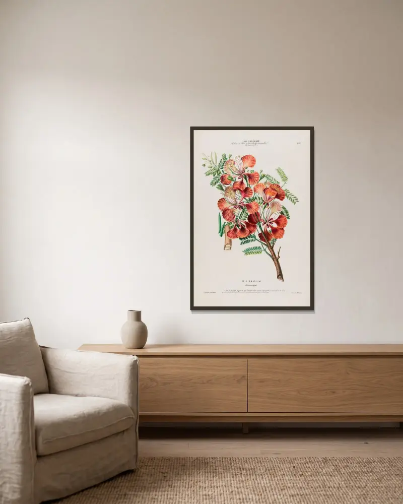 Flore d’Amérique, dessinée d’après nature sur les lieux Pl.077 av Etienne Denisse inramad på en vägg