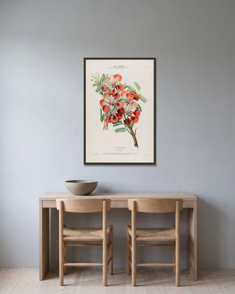 Flore d’Amérique, dessinée d’après nature sur les lieux Pl.077 av Etienne Denisse inramad på en vägg
