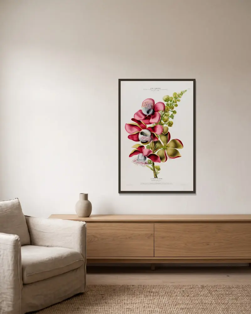 Flore d’Amérique, dessinée d’après nature sur les lieux Pl.079 av Etienne Denisse inramad på en vägg