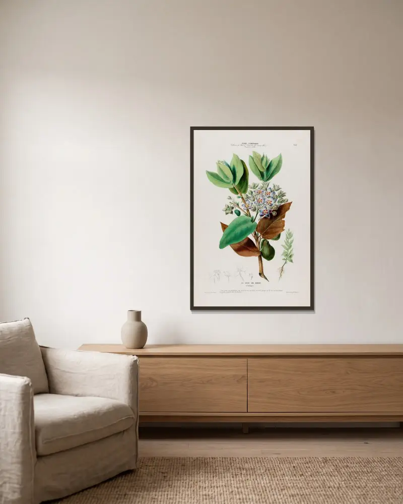 Flore d’Amérique, dessinée d’après nature sur les lieux Pl.080 av Etienne Denisse inramad på en vägg