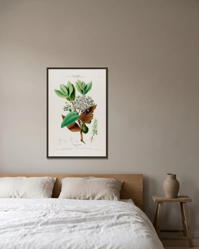 Flore d’Amérique, dessinée d’après nature sur les lieux Pl.080 av Etienne Denisse inramad på en vägg