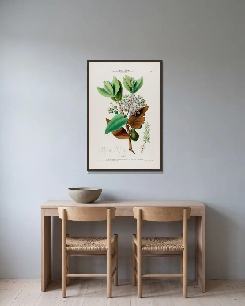 Flore d’Amérique, dessinée d’après nature sur les lieux Pl.080 av Etienne Denisse inramad på en vägg