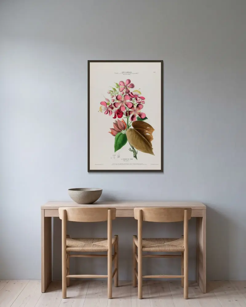 Flore d’Amérique, dessinée d’après nature sur les lieux Pl.081 av Etienne Denisse inramad på en vägg