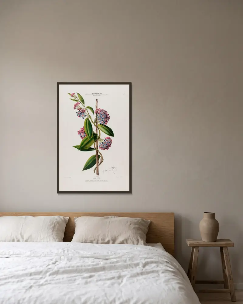 Flore d’Amérique, dessinée d’après nature sur les lieux Pl.083 av Etienne Denisse inramad på en vägg