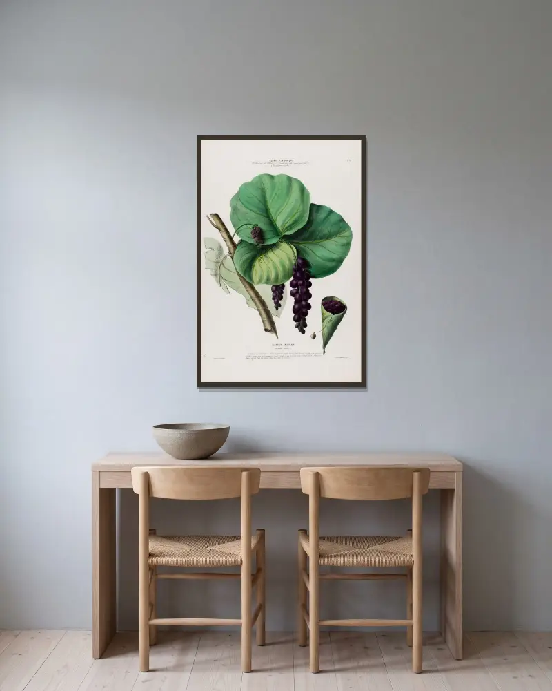Flora från Amerika, tecknad efter naturen på plats, plansch 084 av Etienne Denisse inramad på en vägg