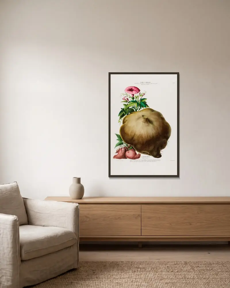 Flore d’Amérique, dessinée d’après nature sur les lieux Pl.085 av Etienne Denisse inramad på en vägg