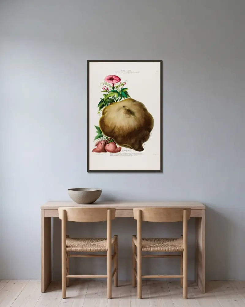 Flore d’Amérique, dessinée d’après nature sur les lieux Pl.085 av Etienne Denisse inramad på en vägg