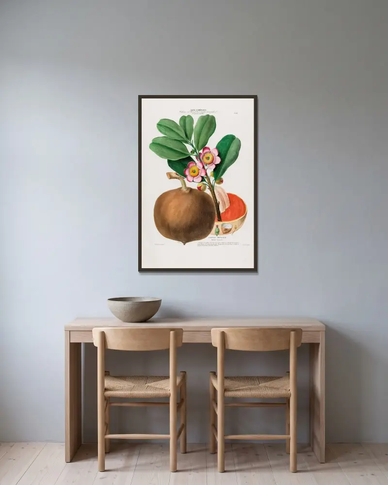 Flore d’Amérique, dessinée d’après nature sur les lieux Pl.088 av Etienne Denisse inramad på en vägg