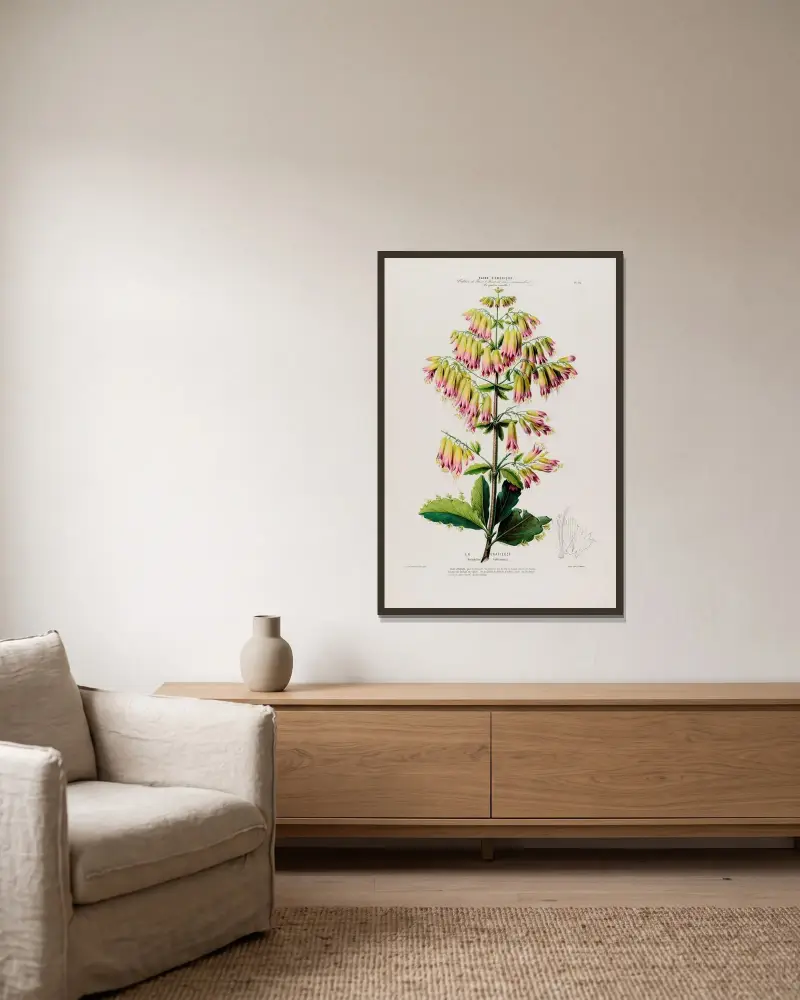 Flore d’Amérique, dessinée d’après nature sur les lieux Pl.090 av Etienne Denisse inramad på en vägg