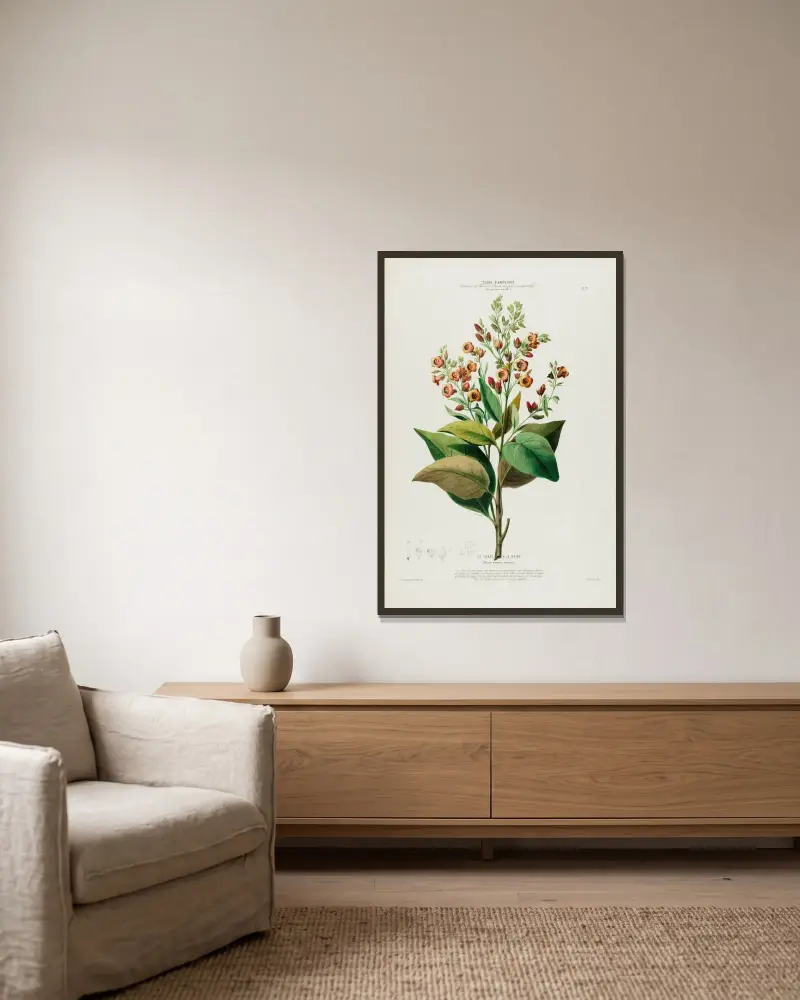 Flore d’Amérique, dessinée d’après nature sur les lieux Pl.091 von Etienne Denisse gerahmt an einer Wand