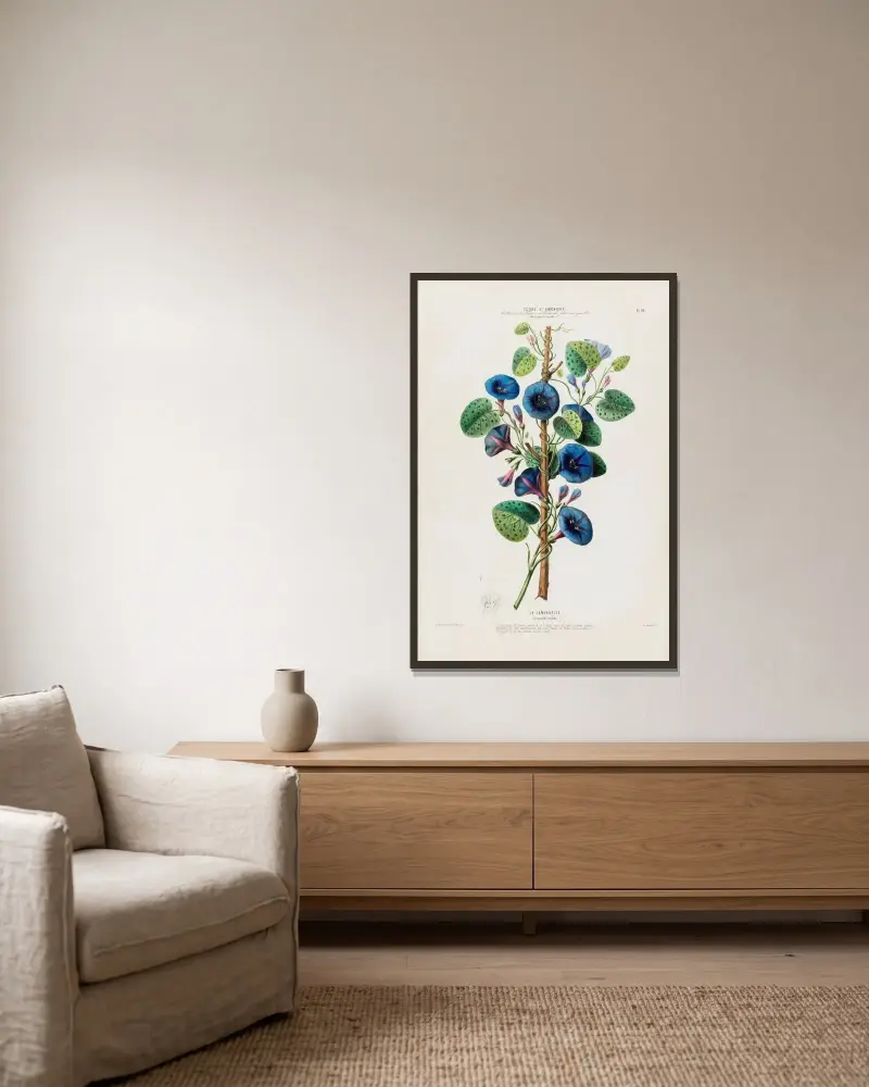 Flore d’Amérique, dessinée d’après nature sur les lieux Pl.092 av Etienne Denisse inramad på en vägg