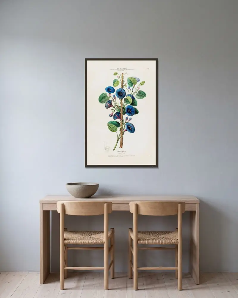Flore d’Amérique, dessinée d’après nature sur les lieux Pl.092 av Etienne Denisse inramad på en vägg