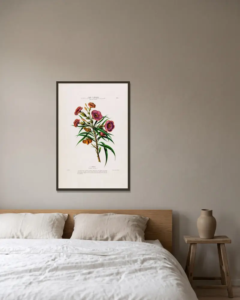 Flore d’Amérique, tecknad efter naturen på plats Pl.093 av Etienne Denisse inramad på en vägg
