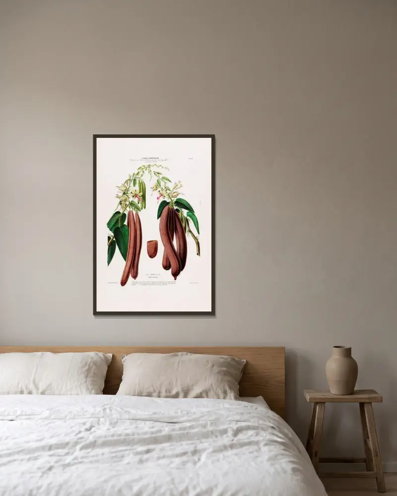 Flore d’Amérique, tecknad efter naturen på plats Pl.094 av Etienne Denisse inramad på en vägg