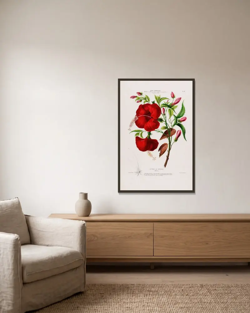 Flore d’Amérique, dessinée d’après nature sur les lieux Pl.095 av Etienne Denisse inramad på en vägg