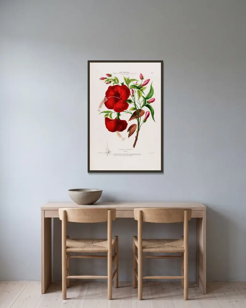 Flore d’Amérique, dessinée d’après nature sur les lieux Pl.095 av Etienne Denisse inramad på en vägg
