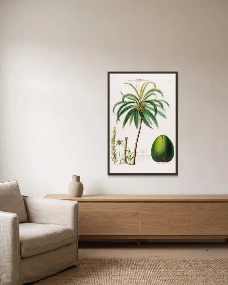 Flore d’Amérique, dessinée d’après nature sur les lieux Pl.096 av Etienne Denisse inramad på en vägg