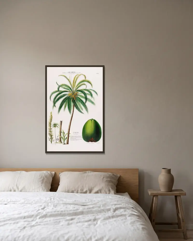 Flore d’Amérique, dessinée d’après nature sur les lieux Pl.096 av Etienne Denisse inramad på en vägg