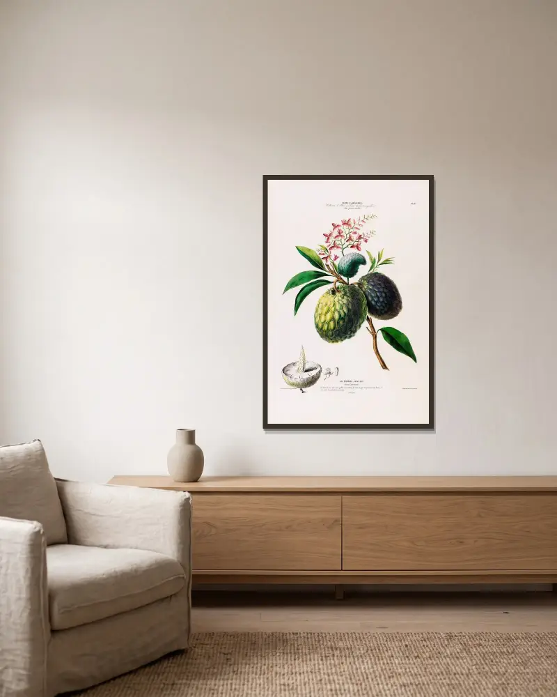 Flore d’Amérique, dessinée d’après nature sur les lieux Pl.098 av Etienne Denisse inramad på en vägg