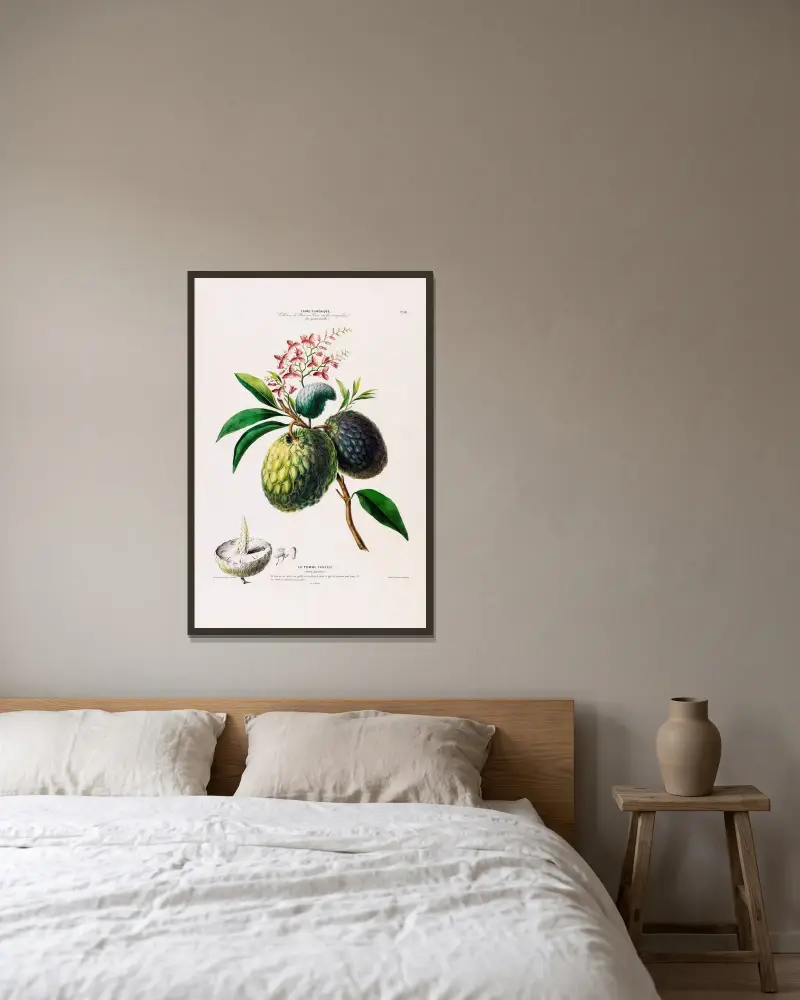 Flore d’Amérique, dessinée d’après nature sur les lieux Pl.098 av Etienne Denisse inramad på en vägg