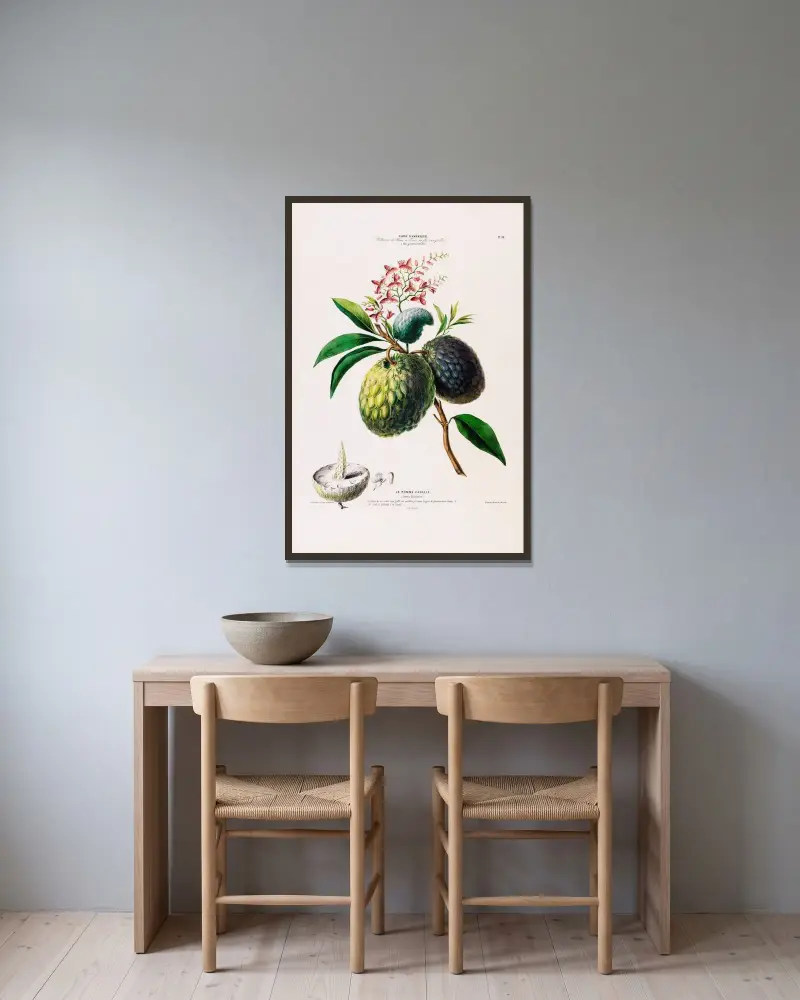 Flore d’Amérique, dessinée d’après nature sur les lieux Pl.098 av Etienne Denisse inramad på en vägg