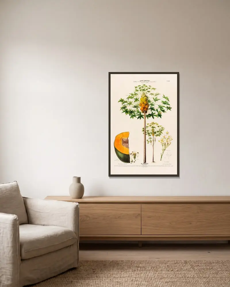 Flore d’Amérique, dessinée d’après nature sur les lieux Pl.100 av Etienne Denisse inramad på en vägg