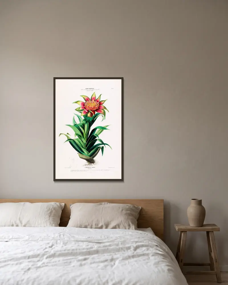 Flore d’Amérique, tecknad efter naturen på plats Pl.101 av Etienne Denisse inramad på en vägg