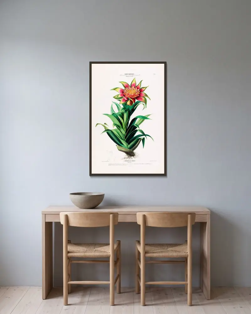 Flore d’Amérique, tecknad efter naturen på plats Pl.101 av Etienne Denisse inramad på en vägg