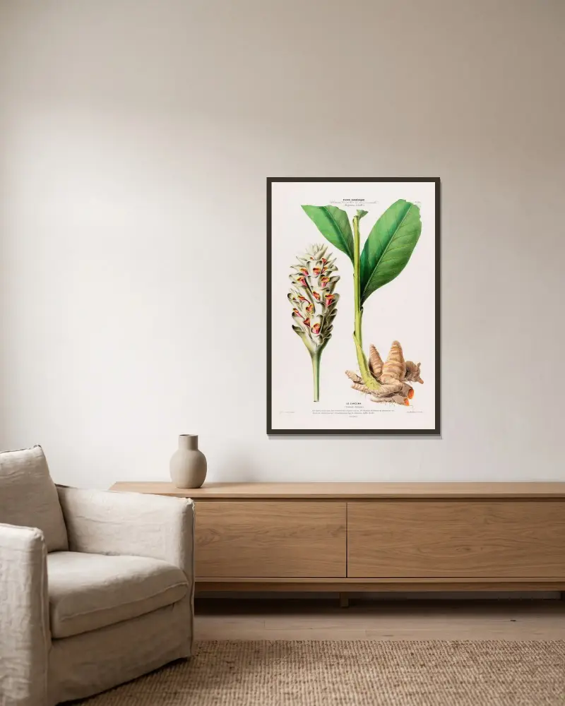 Flore d’Amérique, dessinée d’après nature sur les lieux Pl.102 av Etienne Denisse inramad på en vägg