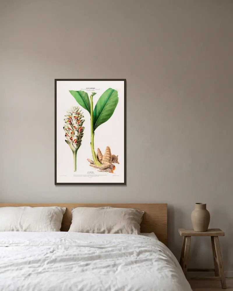 Flore d’Amérique, dessinée d’après nature sur les lieux Pl.102 av Etienne Denisse inramad på en vägg