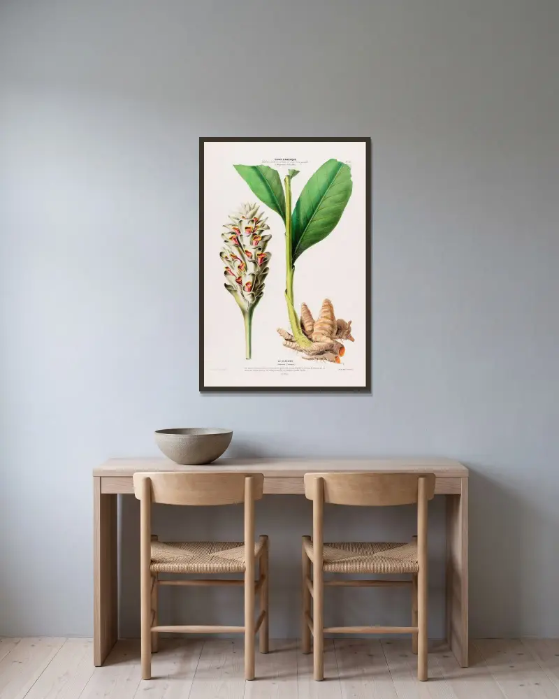 Flore d’Amérique, dessinée d’après nature sur les lieux Pl.102 av Etienne Denisse inramad på en vägg