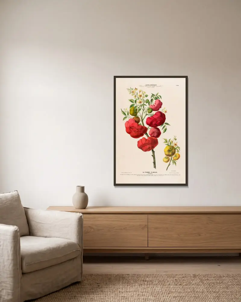 Flore d’Amérique, dessinée d’après nature sur les lieux Pl.103 av Etienne Denisse inramad på en vägg